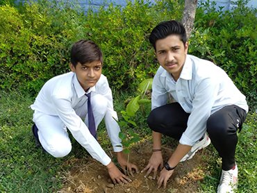 S.D. PUBLIC SCHOOL